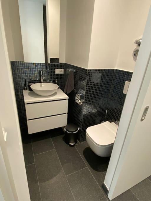 Atelierhaus Zentrum,ruhig,100 Meter Vom Rathausplatz Appartement *