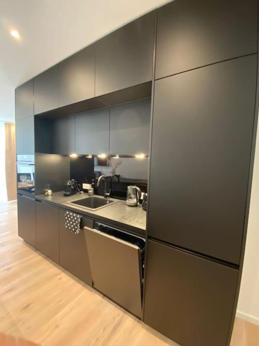 Appartement Atelierhaus Zentrum,ruhig,100 Meter Vom Rathausplatz *